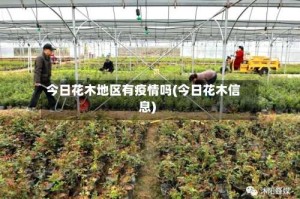 今日花木地区有疫情吗(今日花木信息)