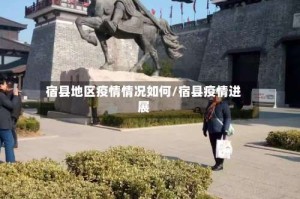 宿县地区疫情情况如何/宿县疫情进展