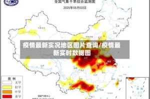 疫情最新实况地区图片查询/疫情最新实时数据图