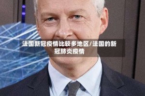 法国新冠疫情比较多地区/法国的新冠肺炎疫情