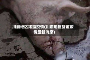 川渝地区猪瘟疫情(川渝地区猪瘟疫情最新消息)