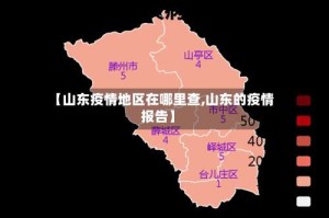 【山东疫情地区在哪里查,山东的疫情报告】