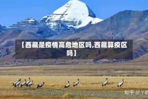 【西藏是疫情高危地区吗,西藏算疫区吗】