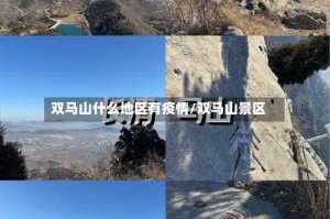双马山什么地区有疫情/双马山景区