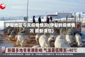 伊犁地区今天疫情情况(伊犁的疫情情况 最新消息)
