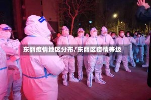 东丽疫情地区分布/东丽区疫情等级