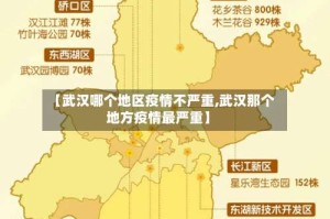 【武汉哪个地区疫情不严重,武汉那个地方疫情最严重】