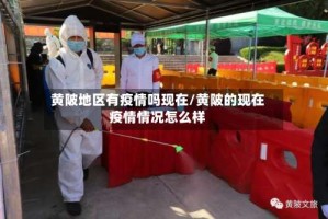 黄陂地区有疫情吗现在/黄陂的现在疫情情况怎么样