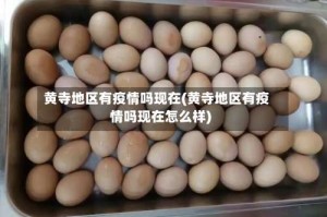 黄寺地区有疫情吗现在(黄寺地区有疫情吗现在怎么样)