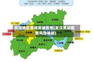 风险地区查询黄陂疫情(武汉黄陂疫情风险等级)