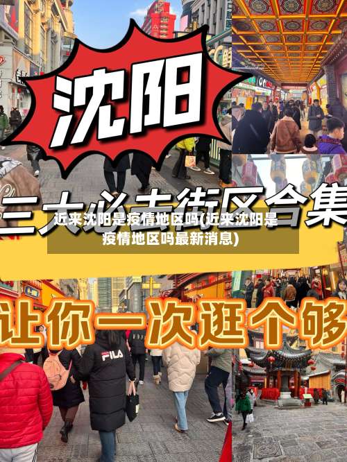 近来沈阳是疫情地区吗(近来沈阳是疫情地区吗最新消息)-第1张图片