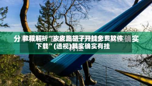 教程解析“皮皮跑胡子开挂免费软件下载	”(透视)其实确实有挂-第1张图片