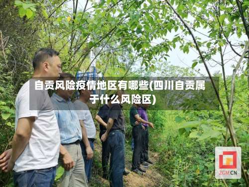 自贡风险疫情地区有哪些(四川自贡属于什么风险区)-第1张图片