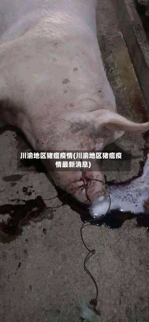 川渝地区猪瘟疫情(川渝地区猪瘟疫情最新消息)-第1张图片