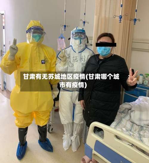 甘肃有无苏城地区疫情(甘肃哪个城市有疫情)-第3张图片