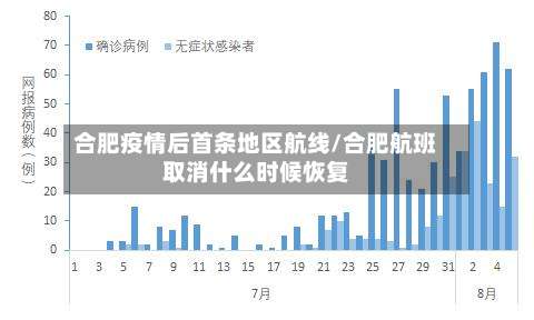 合肥疫情后首条地区航线/合肥航班取消什么时候恢复-第2张图片