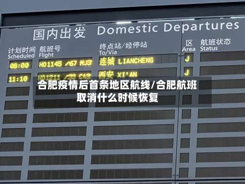 合肥疫情后首条地区航线/合肥航班取消什么时候恢复-第3张图片