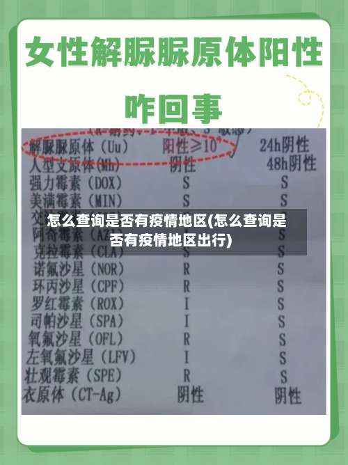 怎么查询是否有疫情地区(怎么查询是否有疫情地区出行)-第3张图片