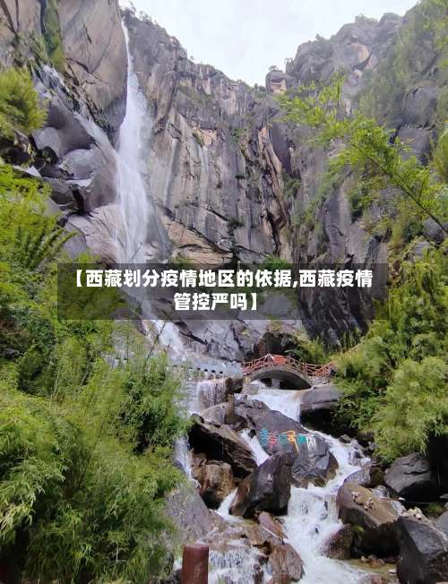 【西藏划分疫情地区的依据,西藏疫情管控严吗】-第2张图片