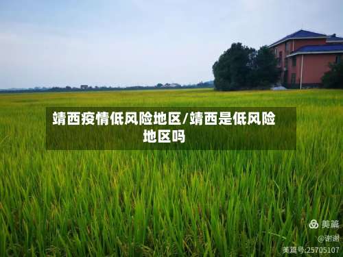 靖西疫情低风险地区/靖西是低风险地区吗-第3张图片