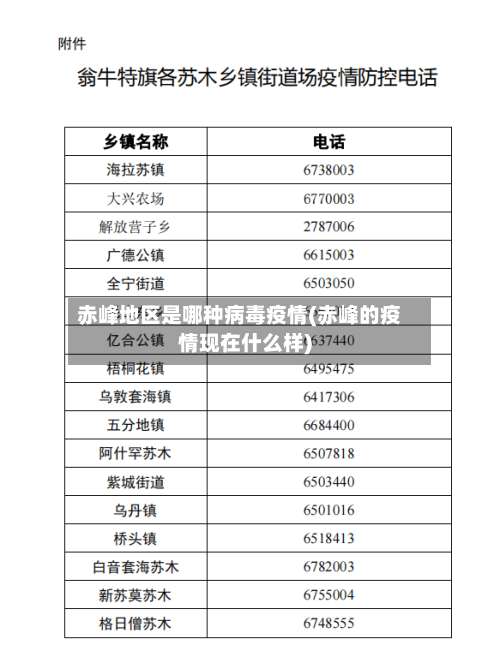 赤峰地区是哪种病毒疫情(赤峰的疫情现在什么样)-第2张图片