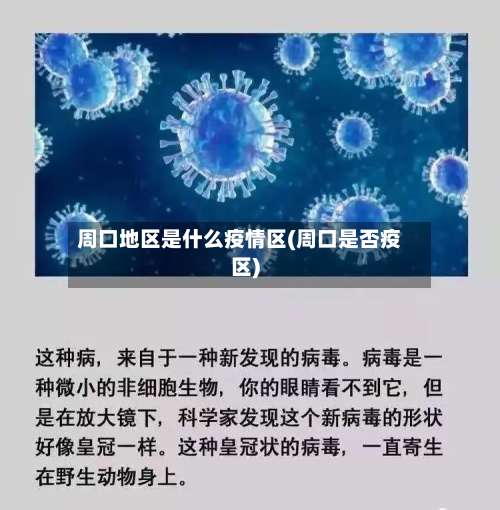 周口地区是什么疫情区(周口是否疫区)-第2张图片