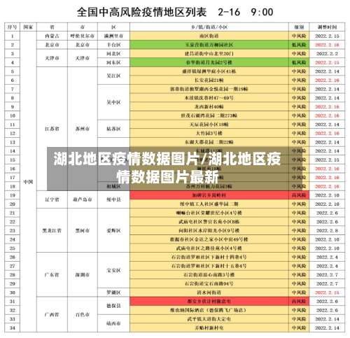 湖北地区疫情数据图片/湖北地区疫情数据图片最新-第2张图片