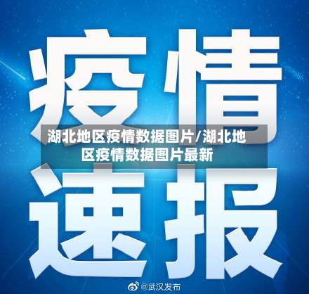 湖北地区疫情数据图片/湖北地区疫情数据图片最新-第1张图片