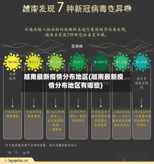 越南最新疫情分布地区(越南最新疫情分布地区有哪些)-第2张图片