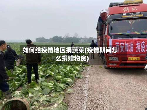 如何给疫情地区捐蔬菜(疫情期间怎么捐赠物资)-第2张图片