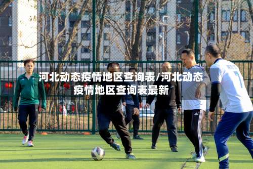 河北动态疫情地区查询表/河北动态疫情地区查询表最新-第3张图片