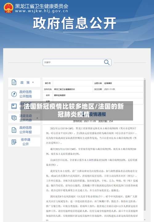 法国新冠疫情比较多地区/法国的新冠肺炎疫情-第3张图片