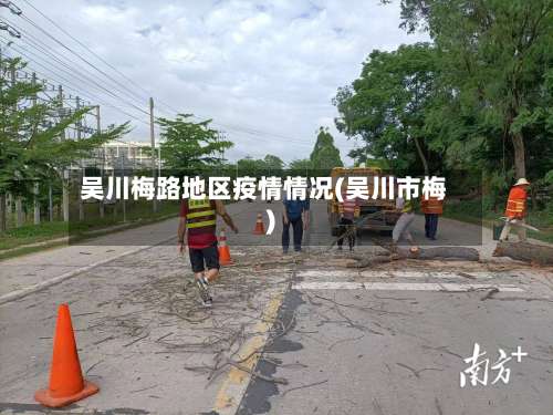 吴川梅路地区疫情情况(吴川市梅)-第1张图片
