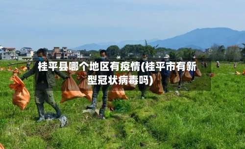 桂平县哪个地区有疫情(桂平市有新型冠状病毒吗)-第2张图片