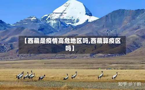 【西藏是疫情高危地区吗,西藏算疫区吗】-第1张图片