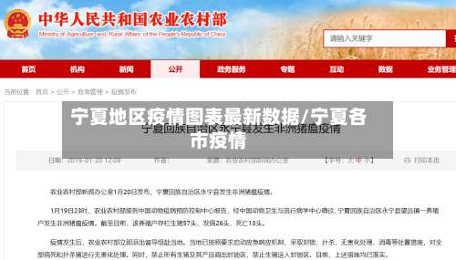 宁夏地区疫情图表最新数据/宁夏各市疫情-第2张图片