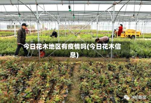 今日花木地区有疫情吗(今日花木信息)-第1张图片