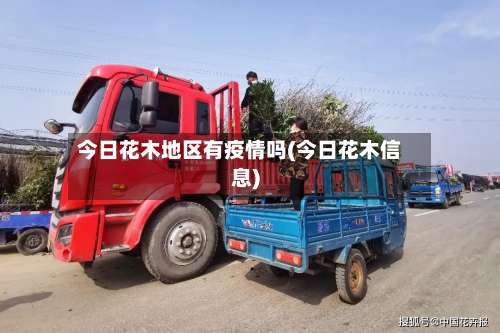 今日花木地区有疫情吗(今日花木信息)-第2张图片