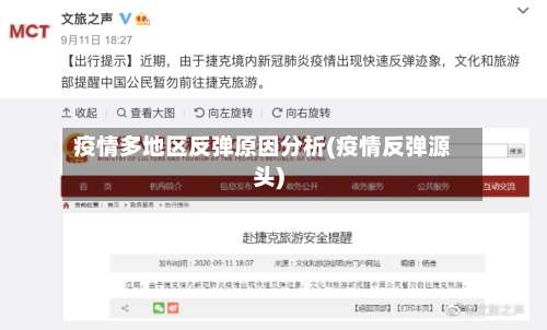 疫情多地区反弹原因分析(疫情反弹源头)-第2张图片