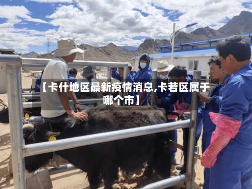 【卡什地区最新疫情消息,卡若区属于哪个市】-第3张图片