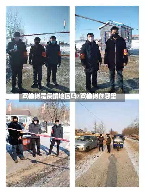双榆树是疫情地区吗/双榆树在哪里-第1张图片