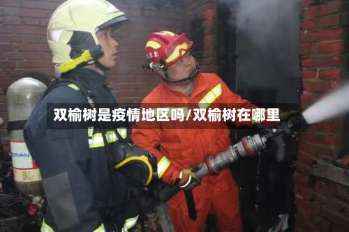 双榆树是疫情地区吗/双榆树在哪里-第2张图片