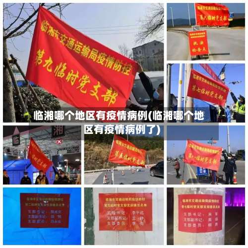 临湘哪个地区有疫情病例(临湘哪个地区有疫情病例了)-第2张图片