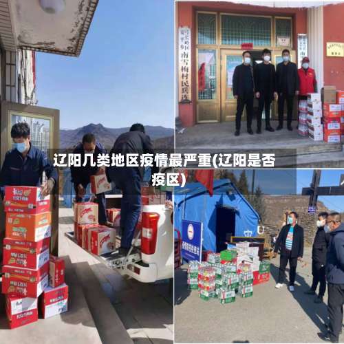 辽阳几类地区疫情最严重(辽阳是否疫区)-第3张图片