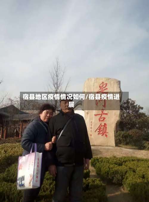 宿县地区疫情情况如何/宿县疫情进展-第2张图片
