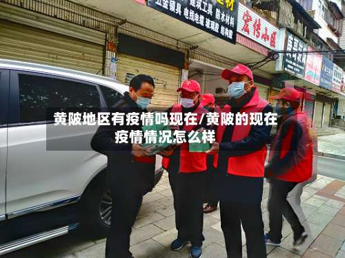 黄陂地区有疫情吗现在/黄陂的现在疫情情况怎么样-第2张图片