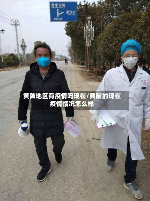 黄陂地区有疫情吗现在/黄陂的现在疫情情况怎么样-第3张图片