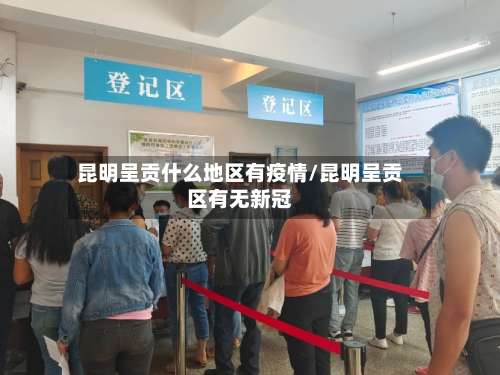 昆明呈贡什么地区有疫情/昆明呈贡区有无新冠-第3张图片