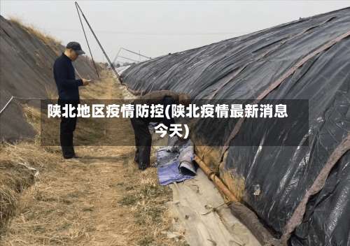 陕北地区疫情防控(陕北疫情最新消息今天)-第2张图片