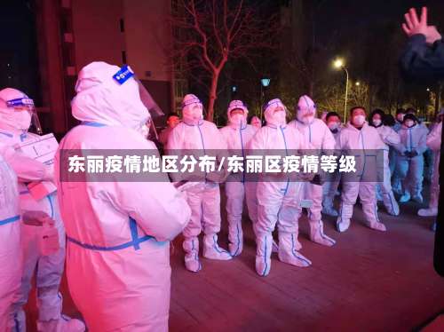 东丽疫情地区分布/东丽区疫情等级-第1张图片